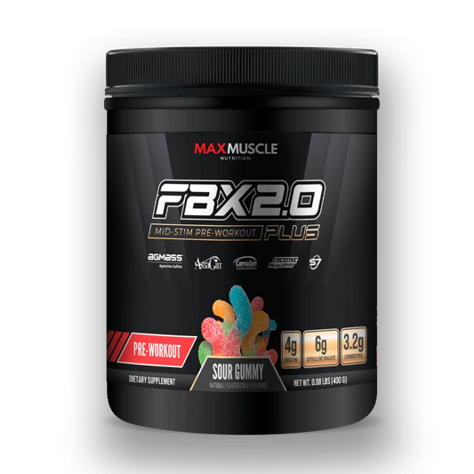 FBX 2.0